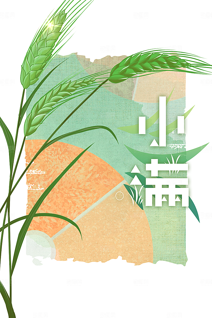 小满节气传统海报
