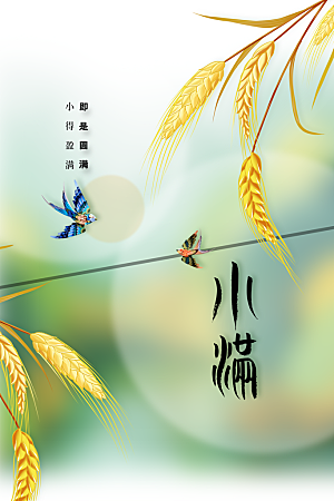 小满节气传统海报