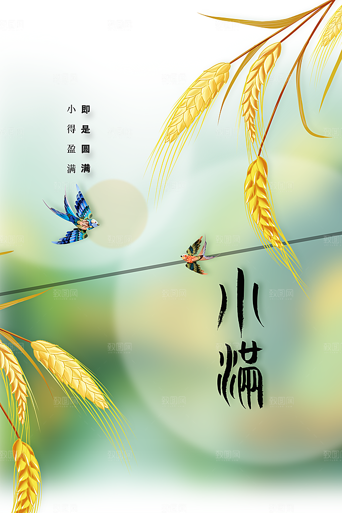 小满节气传统海报