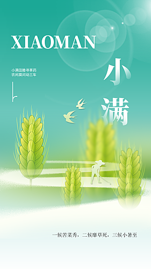 小满节气传统海报