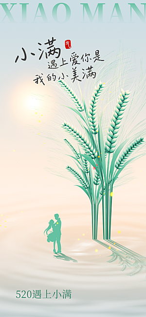 小满节气传统海报
