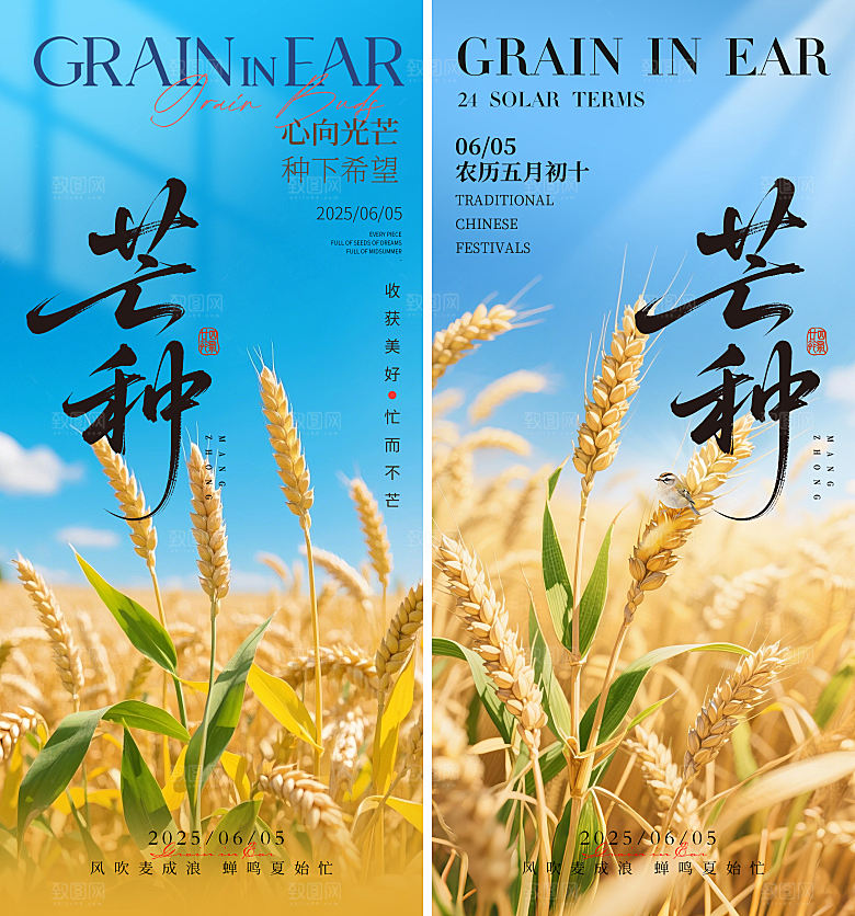 芒种二十四节气地产海报