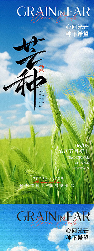 芒种二十四节气地产海报