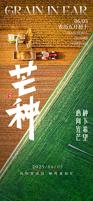 芒种二十四节气地产海报