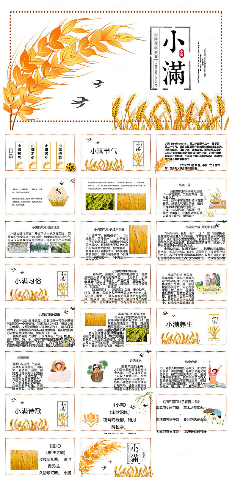绿色清新中国传统24节气小满卡通介绍课件