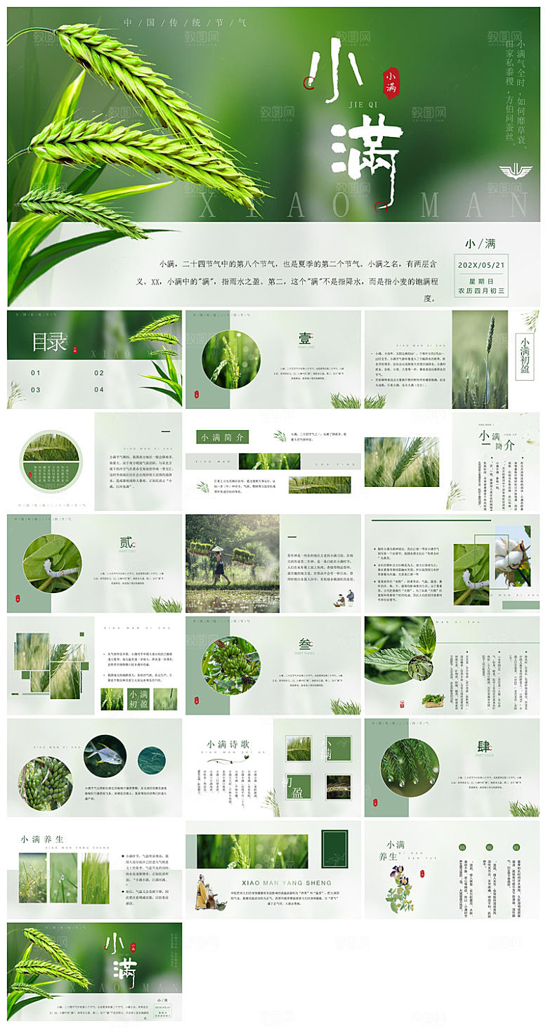 绿色清新中国传统24节气小满卡通介绍课件