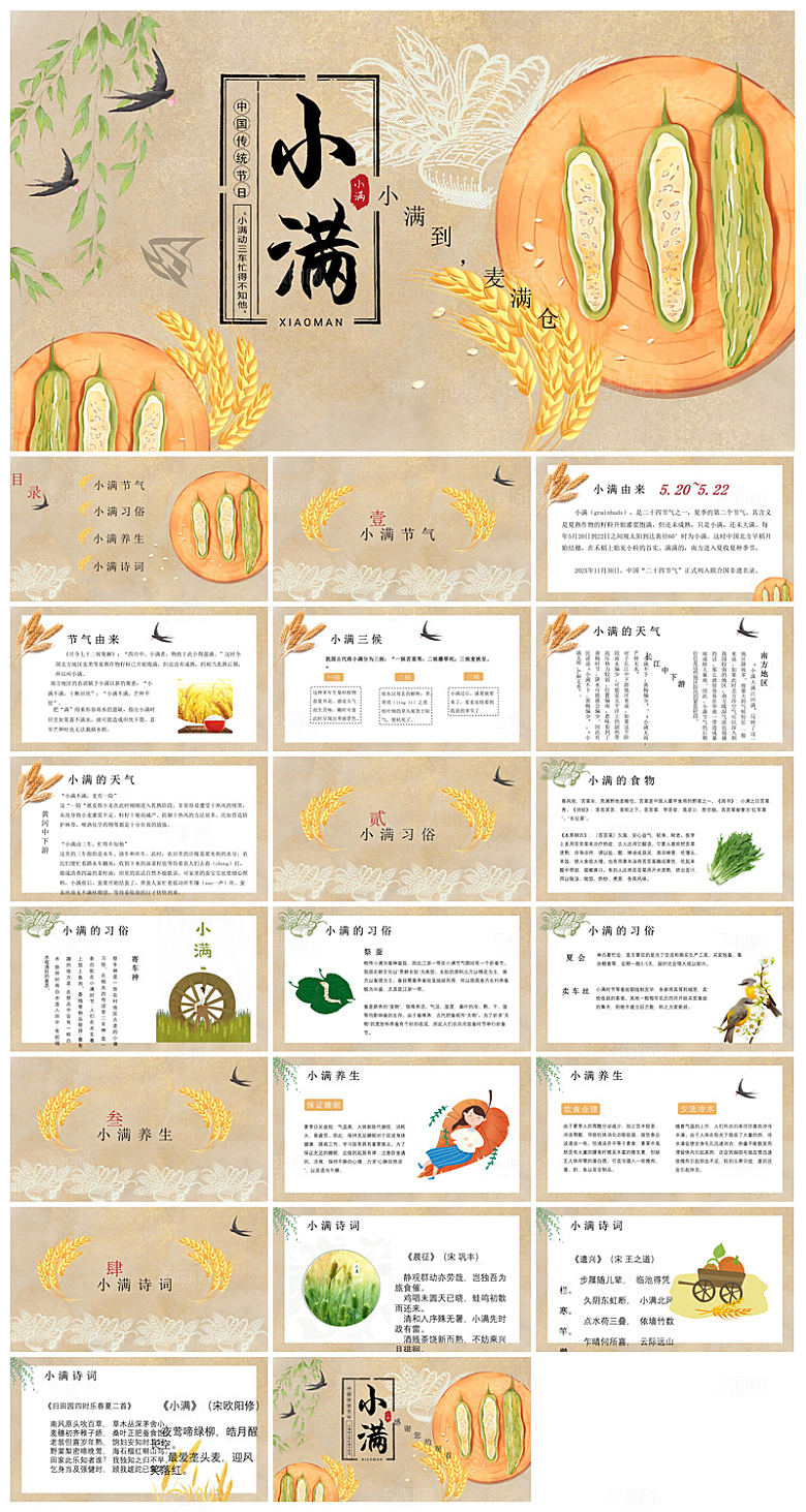 绿色清新中国传统24节气小满卡通介绍课件