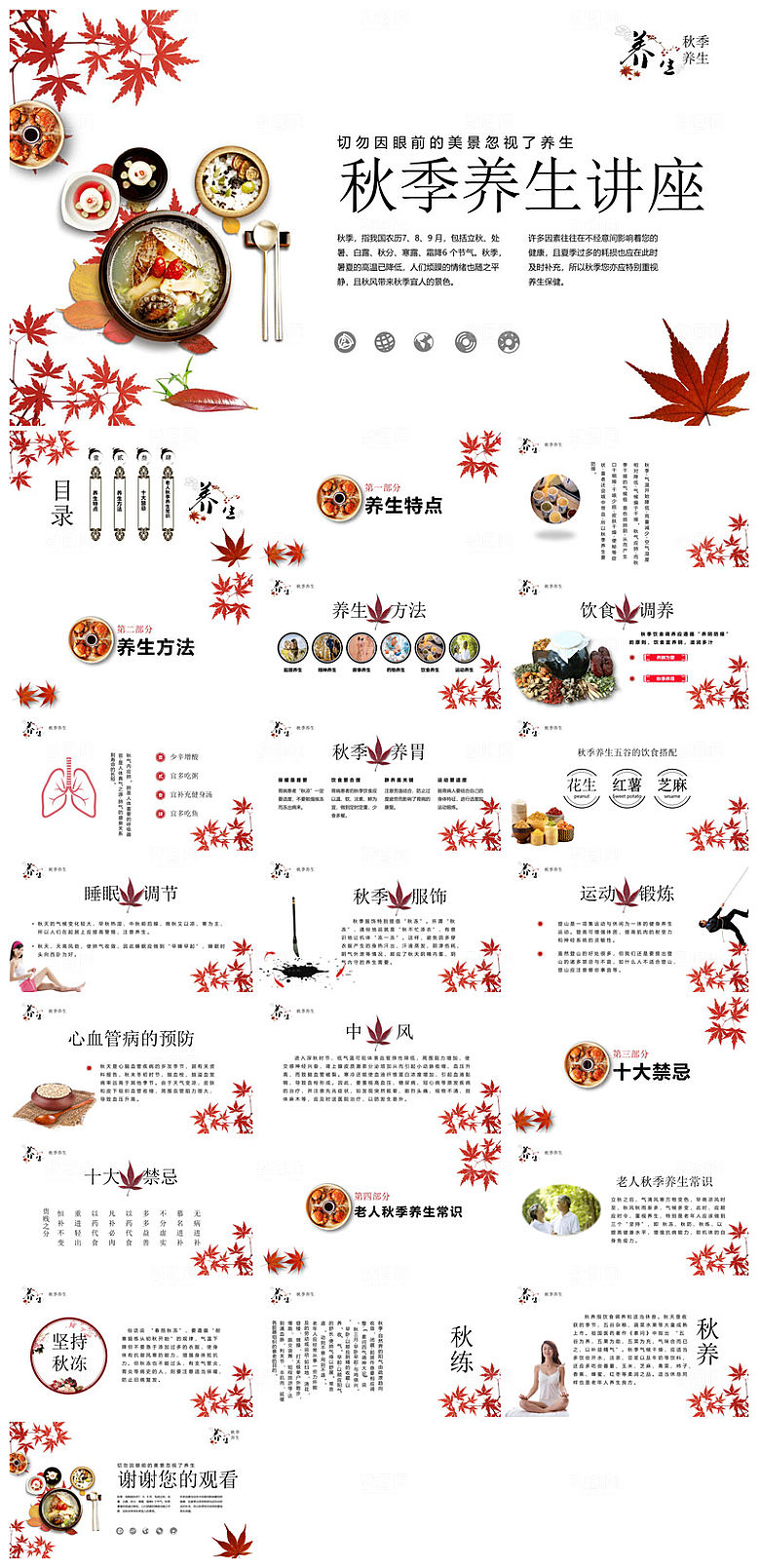 简约传统中国风秋季中药养生保健宣传课件