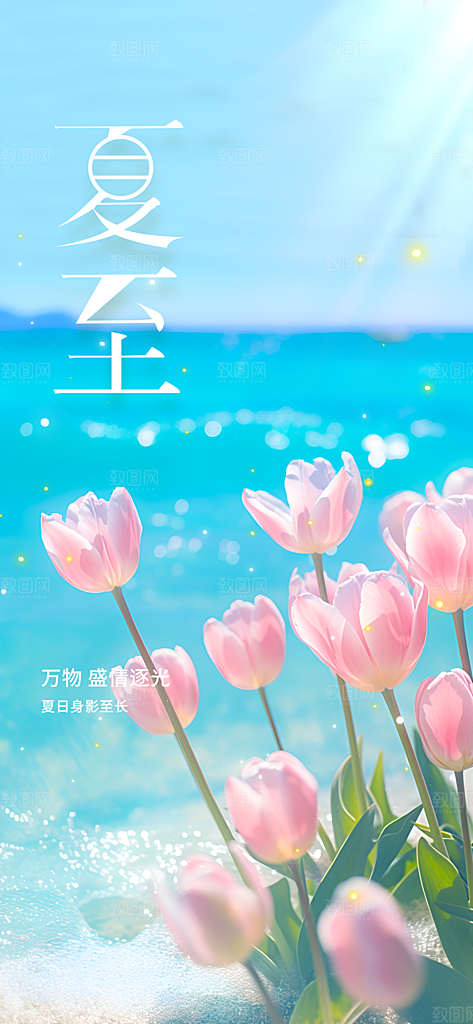 夏至节气传统海报