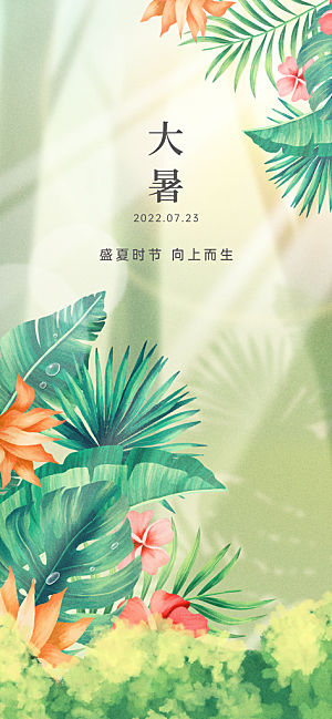 简约大气大暑节气宣传海报