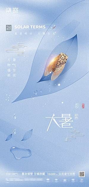 简约大气大暑节气宣传海报