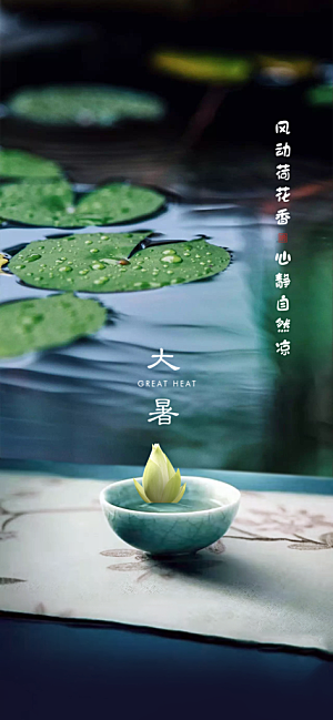 简约大气大暑节气宣传海报