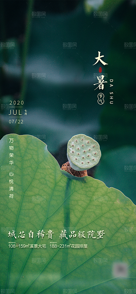 简约大气大暑节气宣传海报