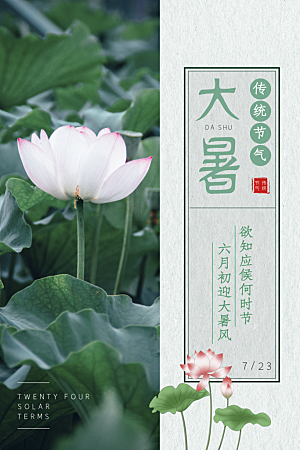 简约大气大暑节气宣传海报