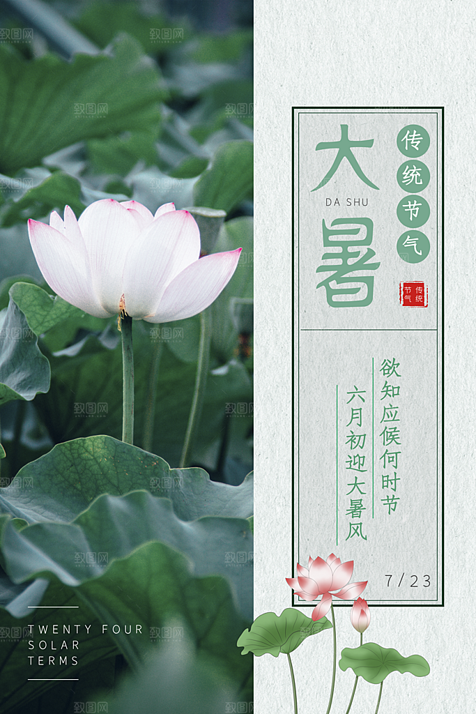 简约大气大暑节气宣传海报