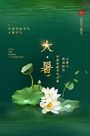 简约大气大暑节气宣传海报