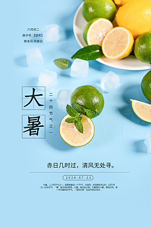 简约大气大暑节气宣传海报