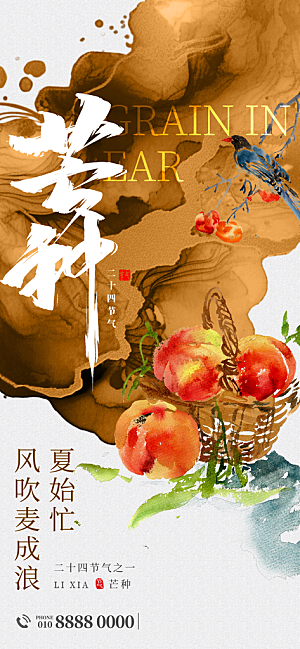 二十四节气芒种海报