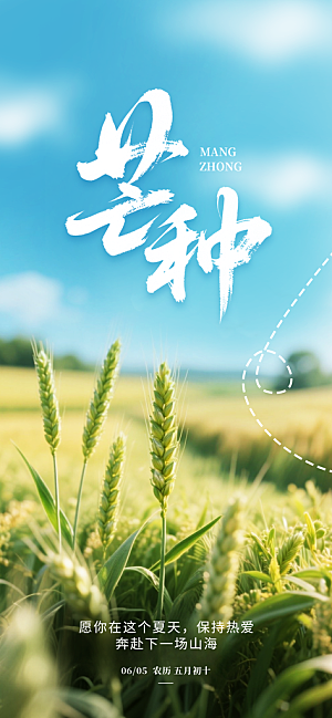 芒种二十四节气海报