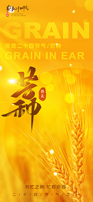 芒种二十四节气海报