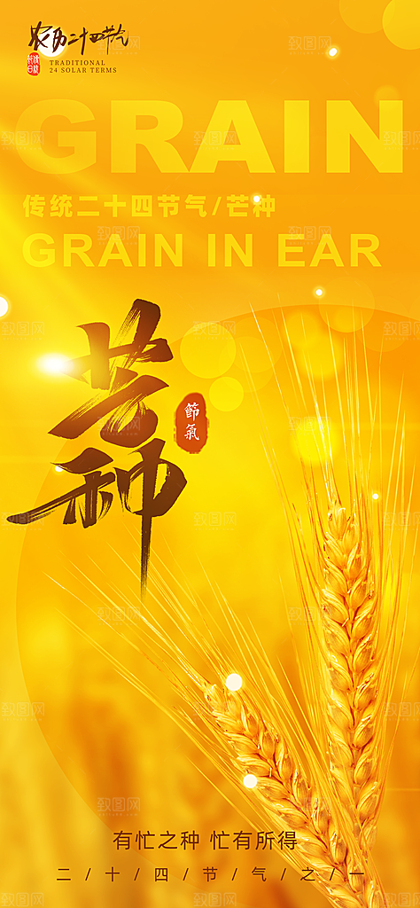 芒种二十四节气海报