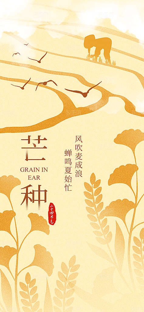 二十四节气芒种海报