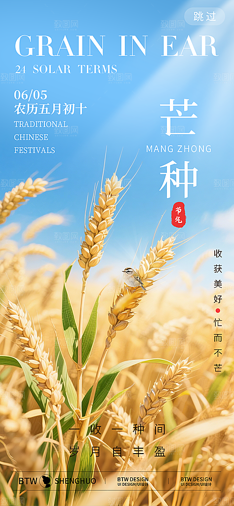 二十四节气芒种海报