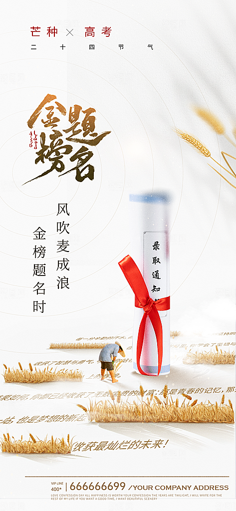 二十四节气芒种海报
