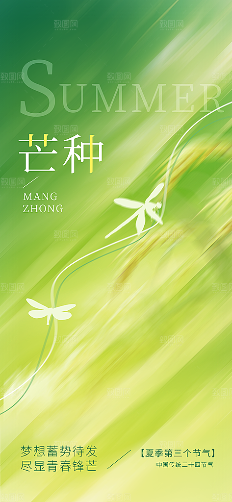 二十四节气芒种海报