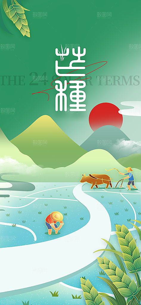 芒种节气传统海报