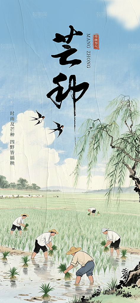 二十四节气芒种海报