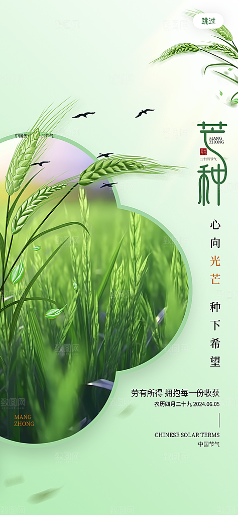 二十四节气芒种海报