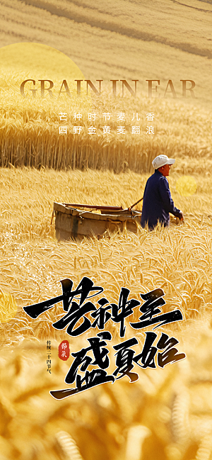 芒种节气传统海报