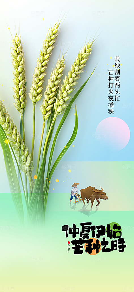 芒种节气传统海报