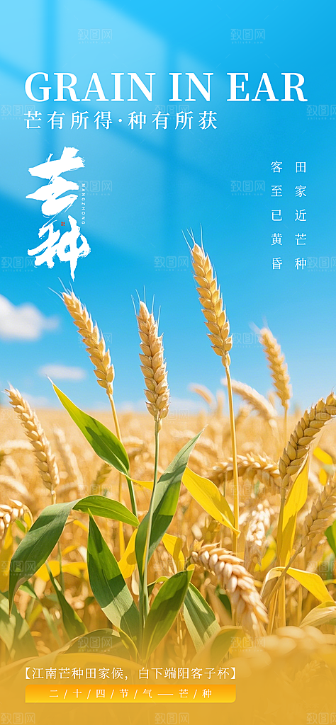 二十四节气芒种海报