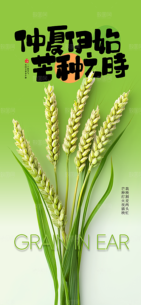 芒种节气传统海报