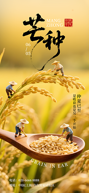 芒种二十四节气海报