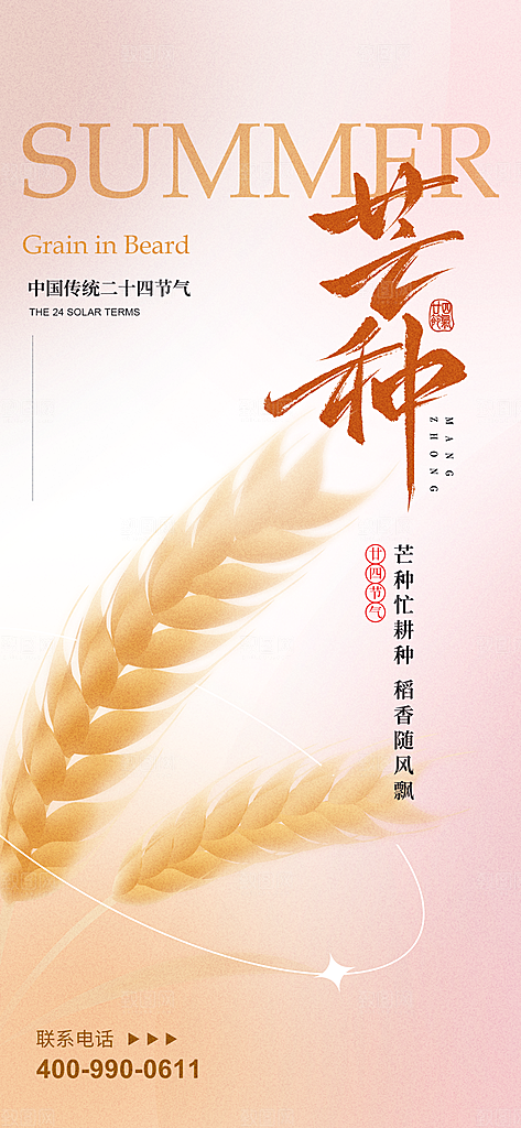 芒种二十四节气海报