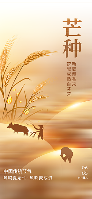 芒种二十四节气海报