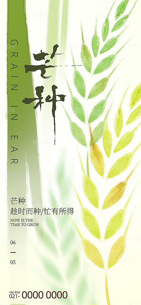 二十四节气芒种海报