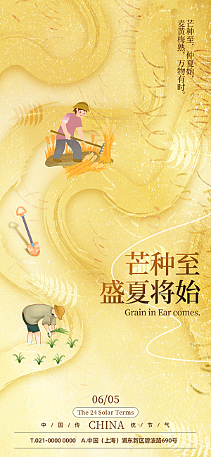芒种二十四节气海报