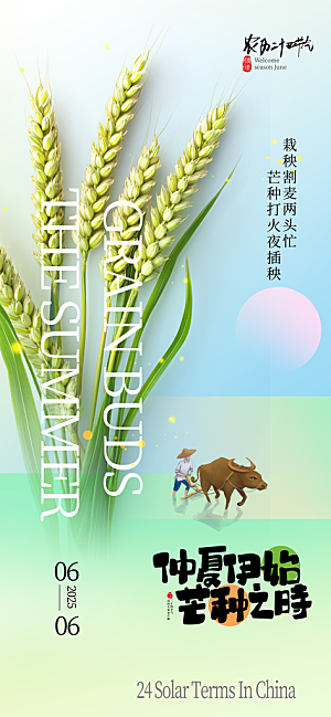 芒种二十四节气海报