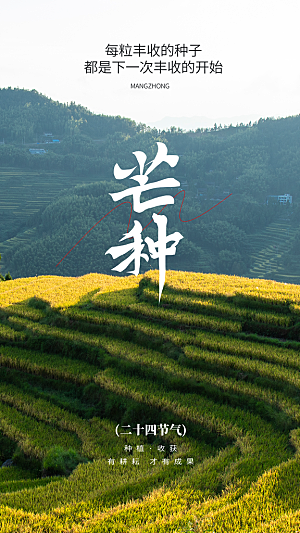 二十四节气芒种海报