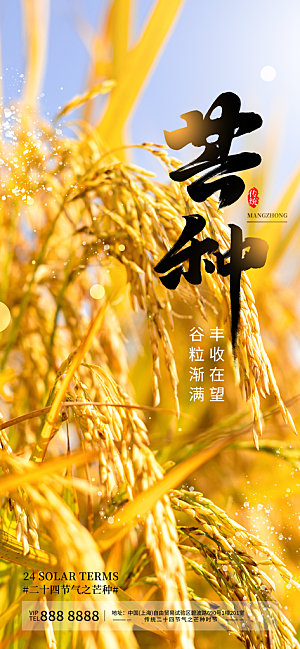 二十四节气芒种海报
