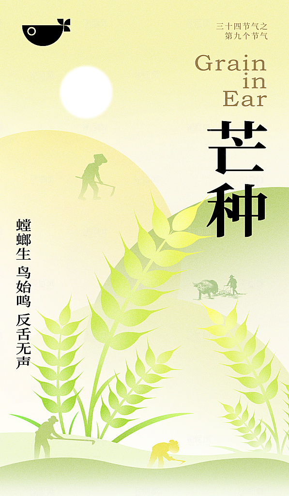 二十四节气芒种海报