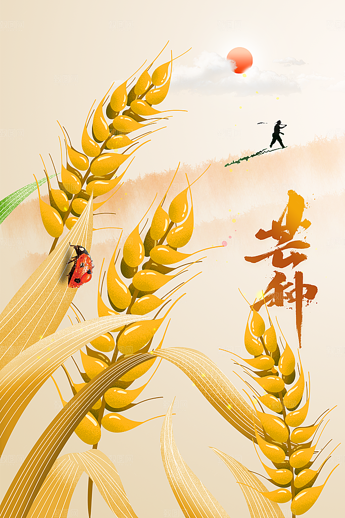 芒种节气传统海报