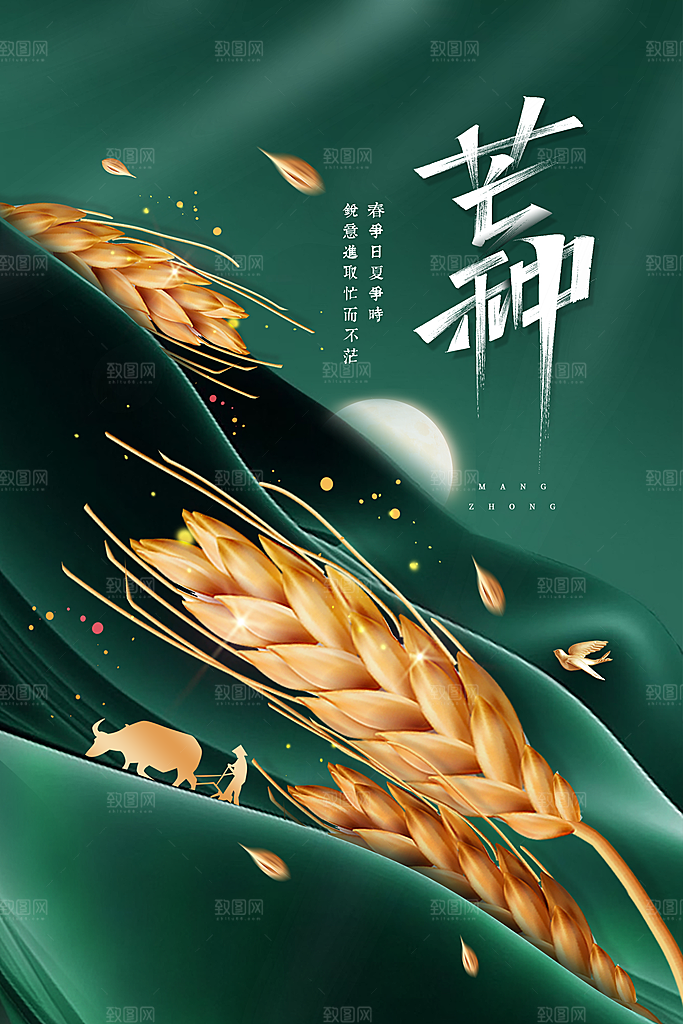 芒种节气传统海报