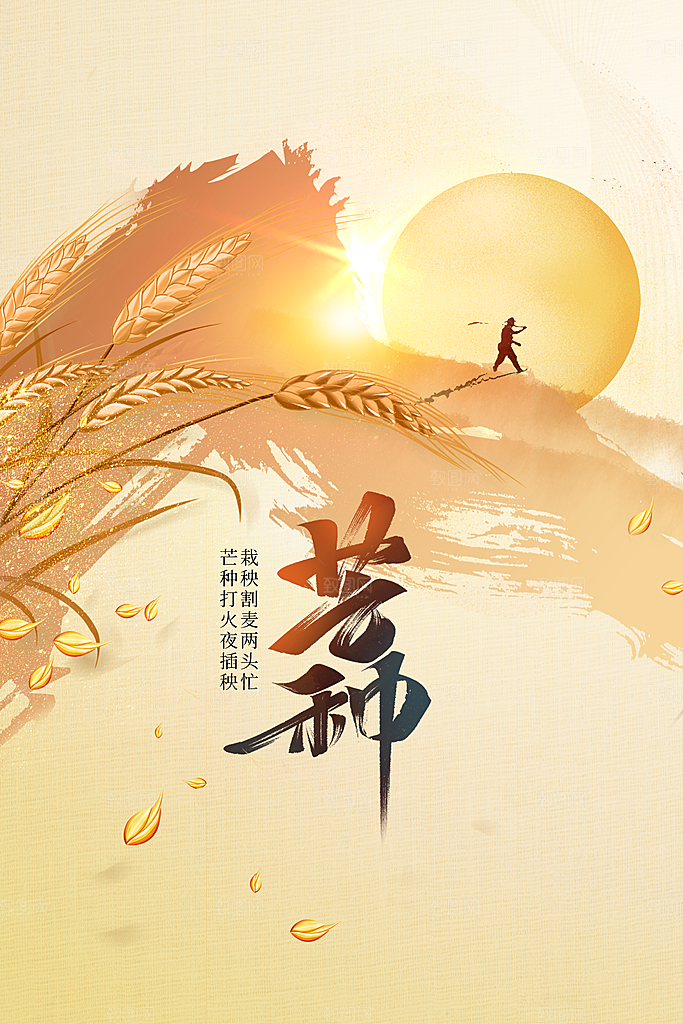 芒种节气传统海报