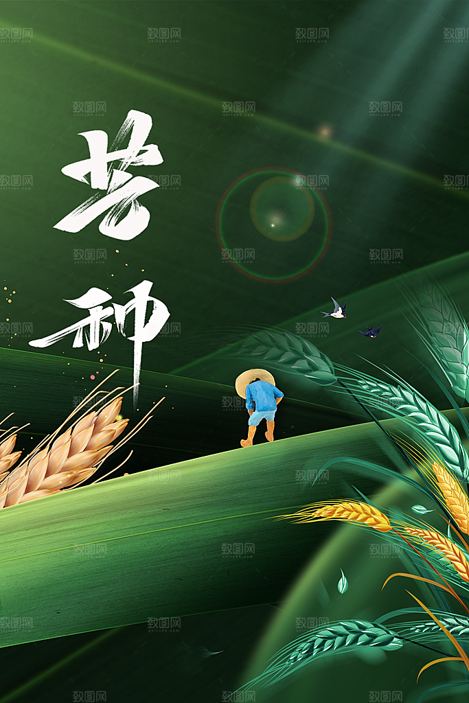 芒种节气传统海报