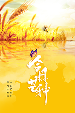 芒种节气传统海报